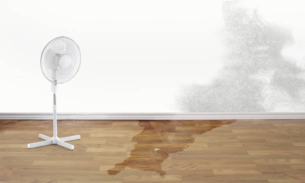 Slatington, PA Water damage restoration Company