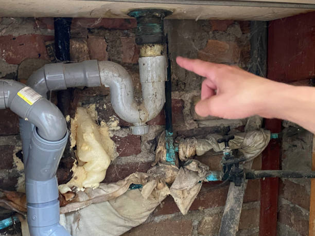 Best Water damage cleanup near me  in Slatington, PA